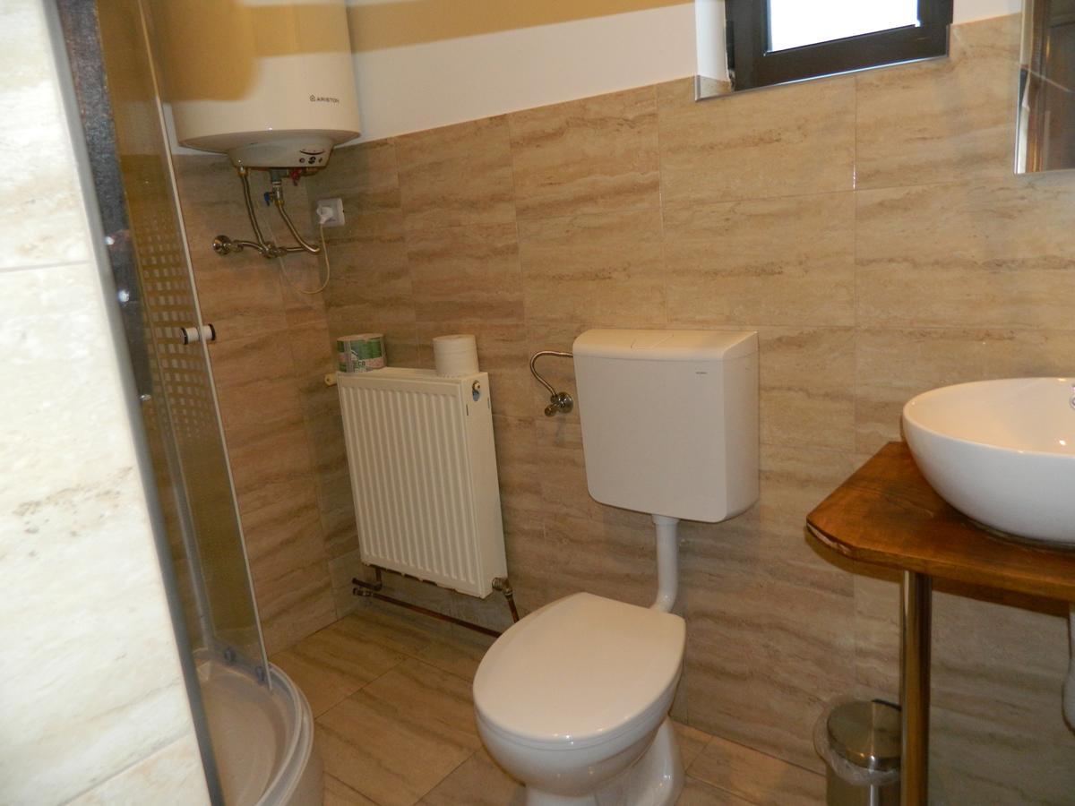 Cabana Florea Villa Rîu de Mori Екстериор снимка