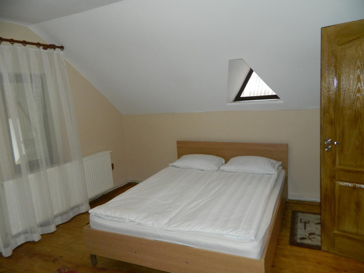 Cabana Florea Villa Rîu de Mori Екстериор снимка