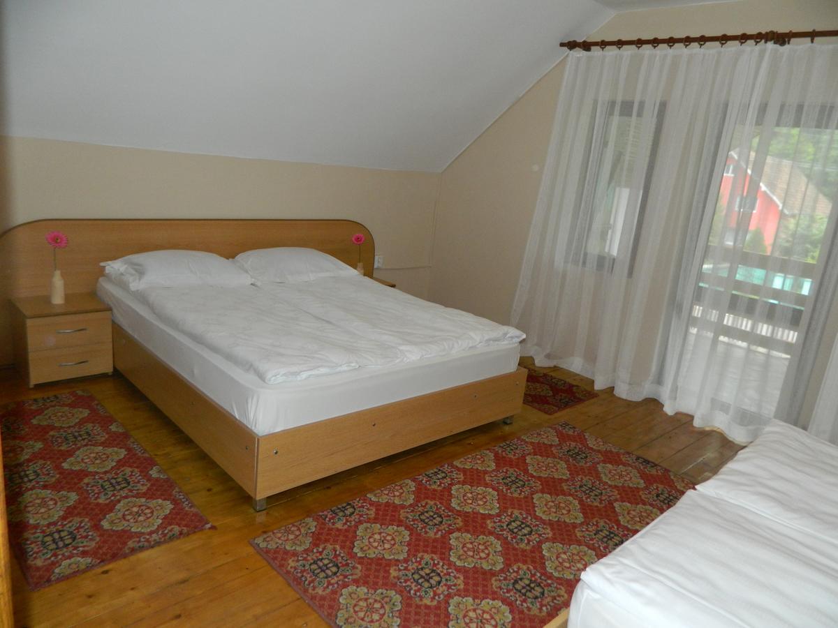 Cabana Florea Villa Rîu de Mori Екстериор снимка
