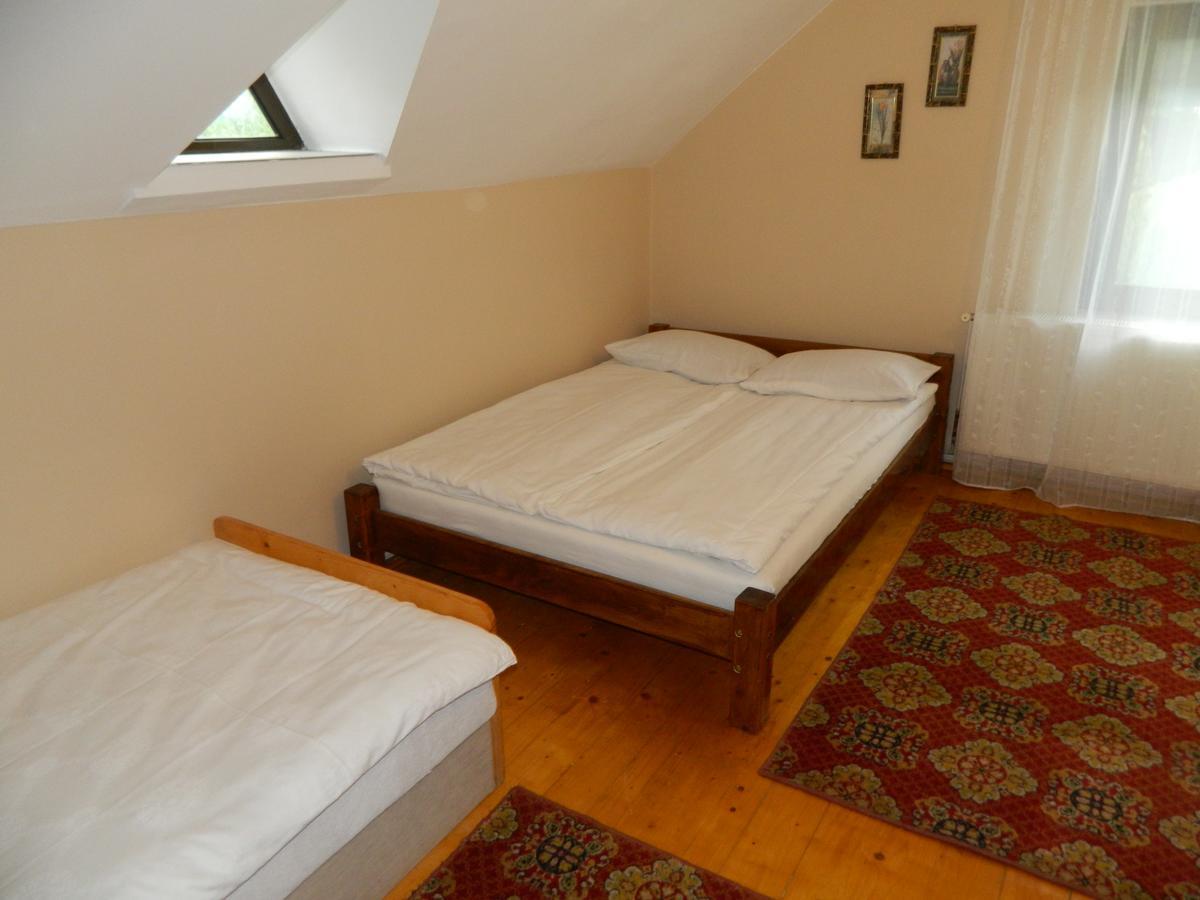 Cabana Florea Villa Rîu de Mori Екстериор снимка