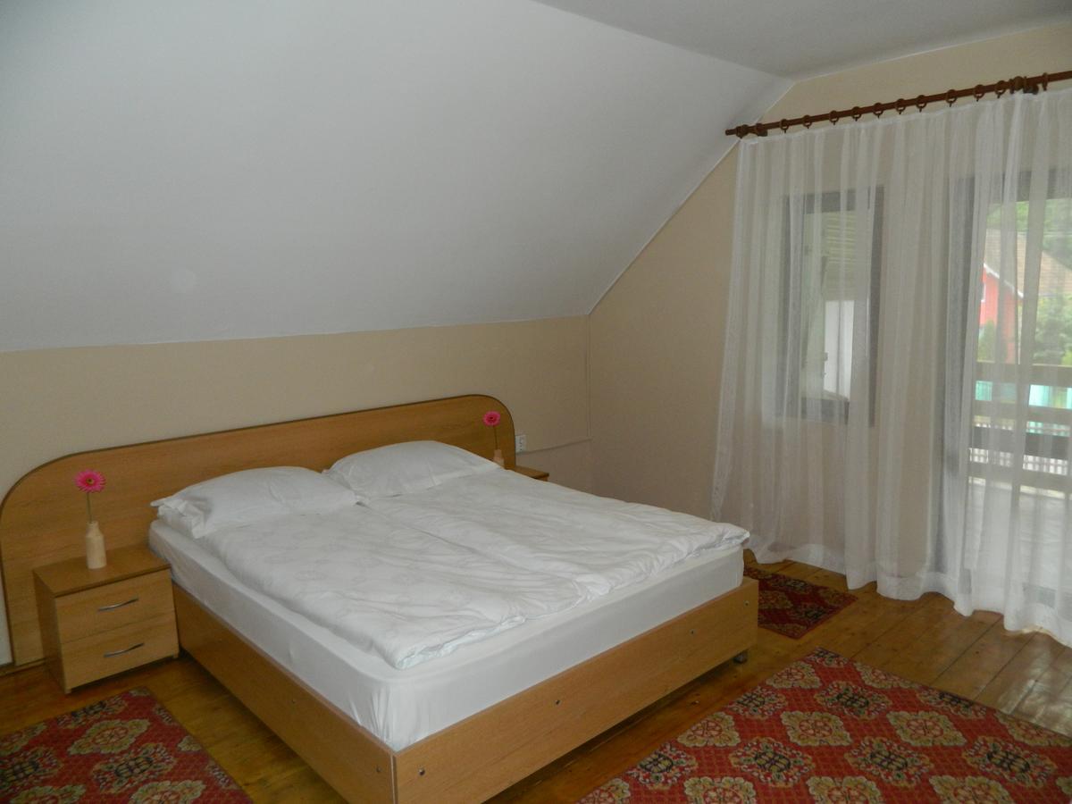 Cabana Florea Villa Rîu de Mori Екстериор снимка