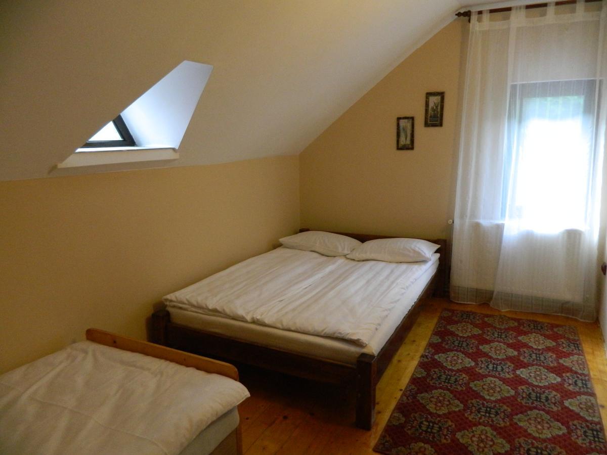 Cabana Florea Villa Rîu de Mori Екстериор снимка