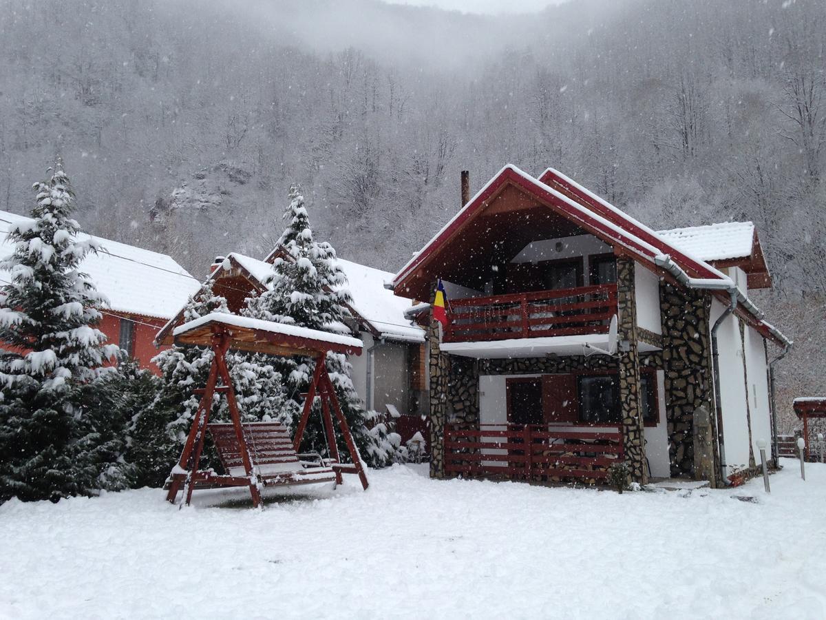 Cabana Florea Villa Rîu de Mori Екстериор снимка